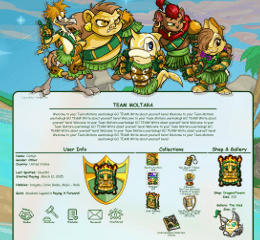 Go Team Mystery Island UL